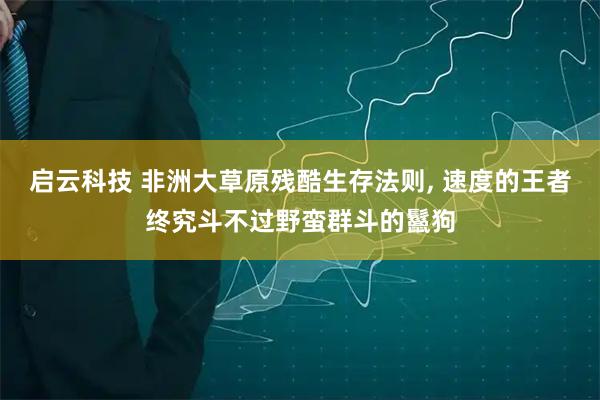 启云科技 非洲大草原残酷生存法则, 速度的王者终究斗不过野蛮群斗的鬣狗