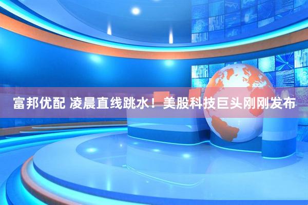 富邦优配 凌晨直线跳水！美股科技巨头刚刚发布